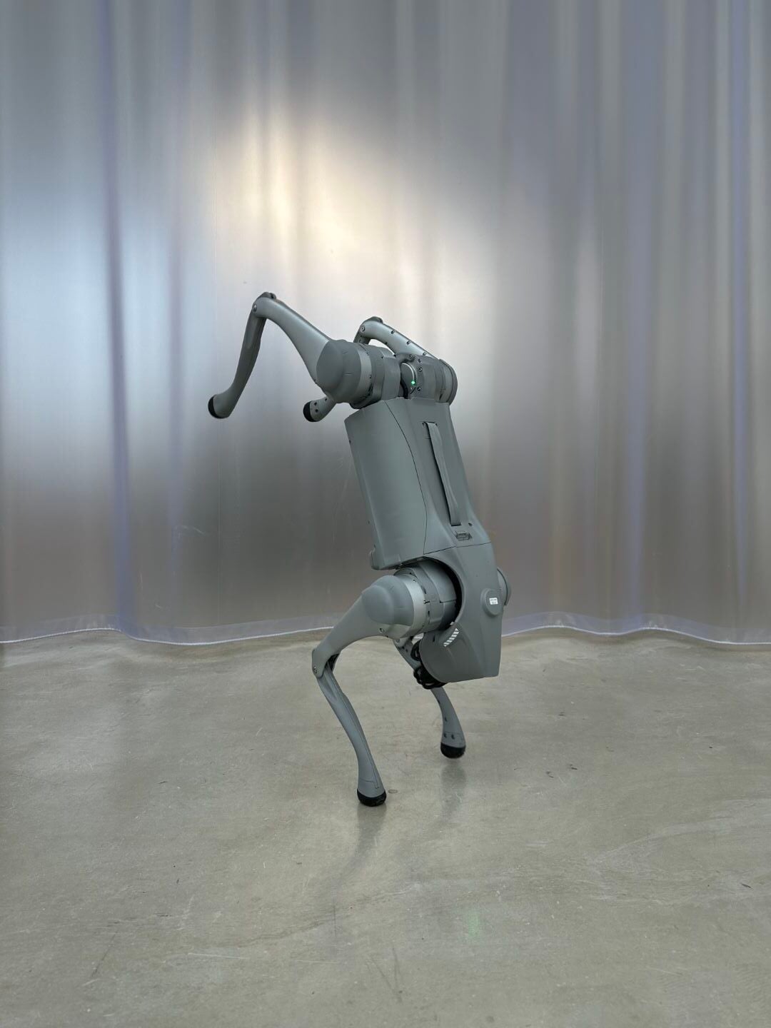 Dynamism of a Dog on a Leash - Performance digitale